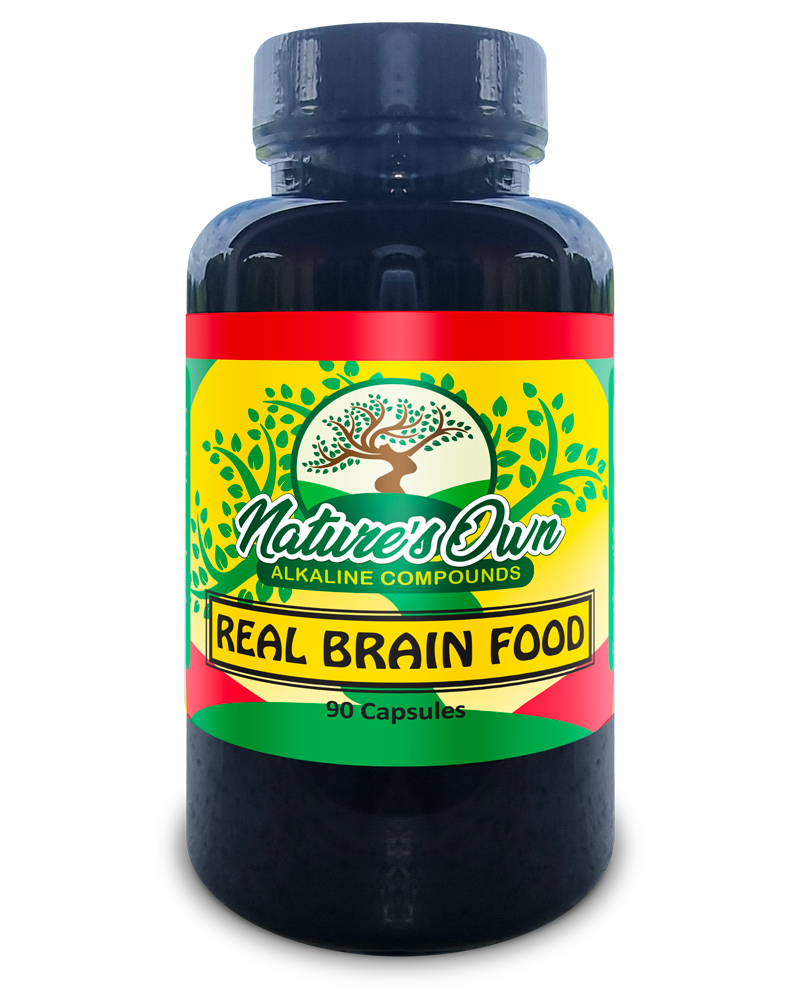 Real Brain Food