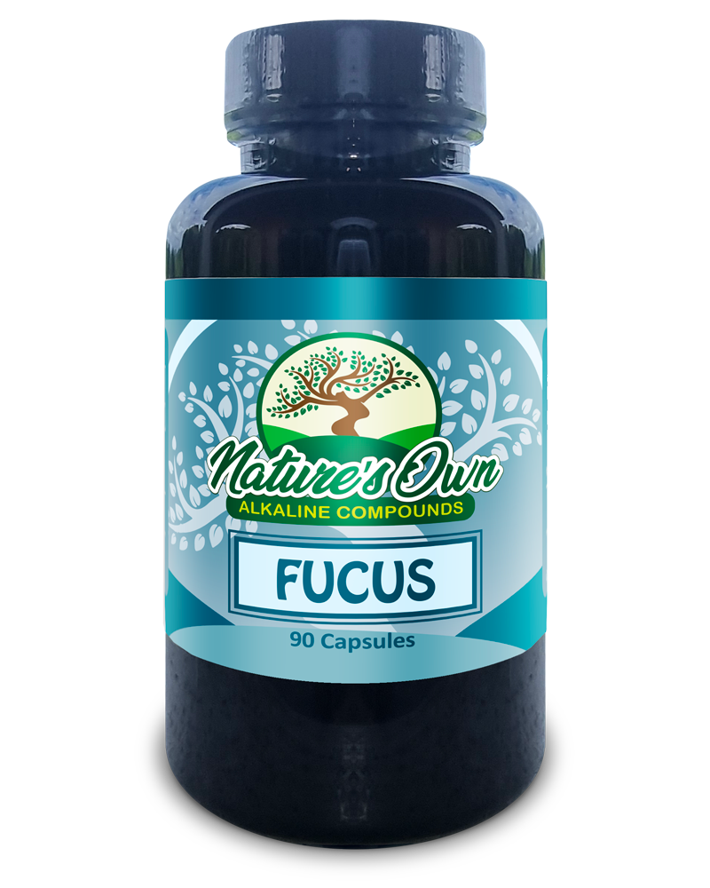 Fucus